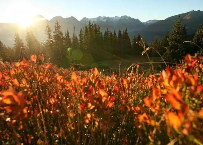 Appartement Mit Blick Auf Berge By Interhome *